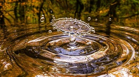 A drop of water disturbs the pond surfac